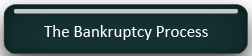 The Bankruptcy Process